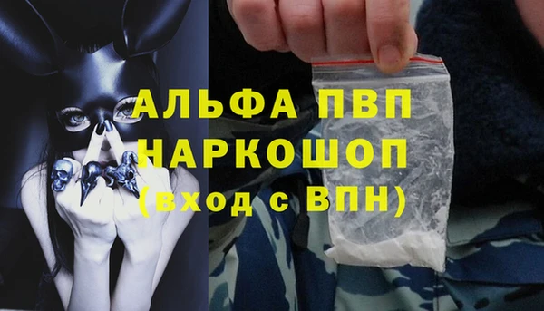 МДПВ Новодвинск