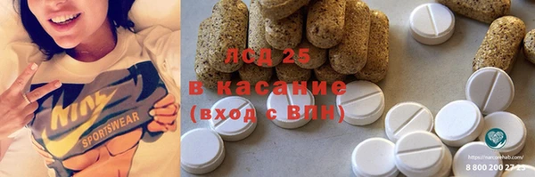 PSILOCYBIN Болотное