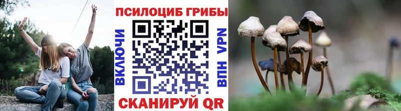 Псилоцибиновые грибы ЛСД  Арамиль 